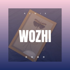 难忘今宵 (DJ版)