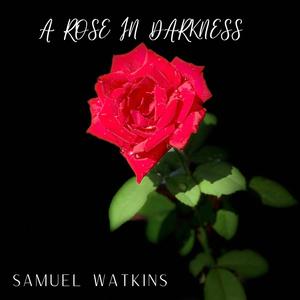 A Rose in Darkness