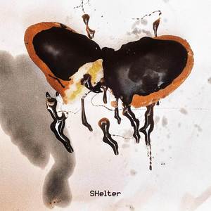 SHelter