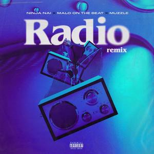 Radio (Remix|Explicit)