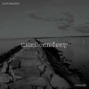 what can i say (feat. Beanmjs)