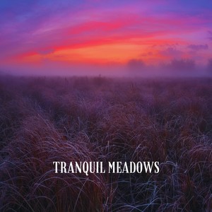 Tranquil Meadows