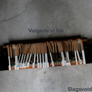 Valgene vi tok