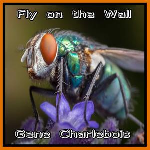 Fly on the Wall