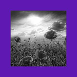 【FREE]- Dark Boom Bap Beat