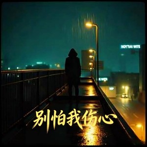 别怕我伤心 (Remix)