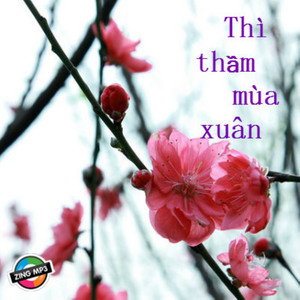 Xa Rồi Tuổi Thơ/Trái Tim Không Ngủ Yên