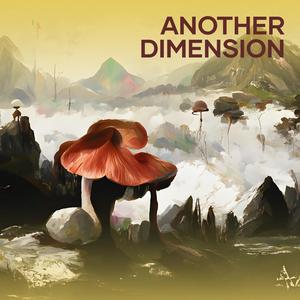 Another Dimension