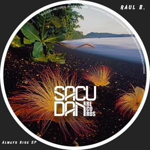 Always Rise (Original Mix)