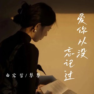 爱你从没忘记过