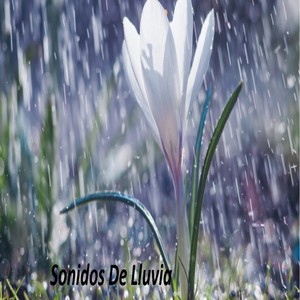 Sonitos de Agua, Lluvia y Tormenta