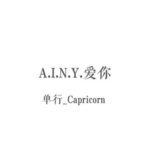 A.I.N.Y.爱你