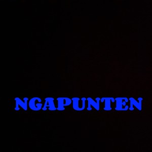 NGAPUNTEN