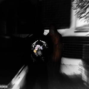 BRAND NEW (Explicit)