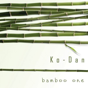 Bamboo One