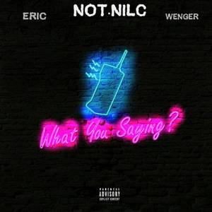 What You Saying? (feat. Wengerrapstoo & Cire.Ton) [Explicit]