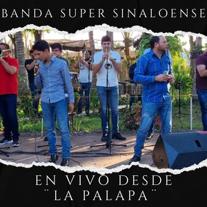 En Vivo Desde La Palapa (Live)