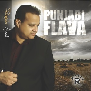 Punjabi Flava