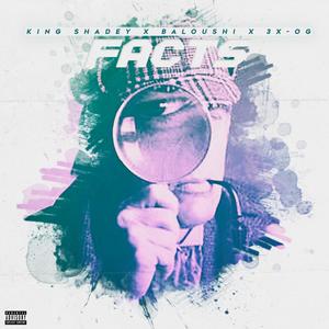 Facts (feat. MobfamEnt KingShadey & Baloushi) [Explicit]