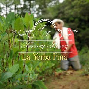 La Yerba Fina