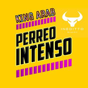 Perreo Intenso (feat. Ineditto)