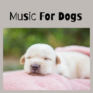 Music For Dogs