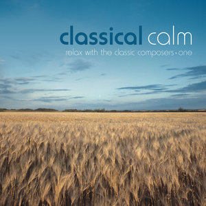 Double Violin Concerto in D minor, Largo