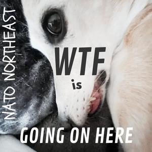 wtf is going on here