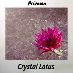 Crystal Lotus