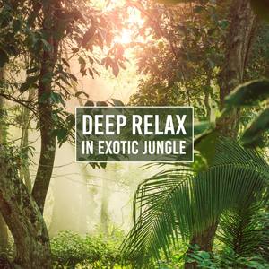 Deep Relax in Exotic Jungle (Amazonian Oasis, Tropical Harmony, Birds of Peace Island, Rhythm of Cal