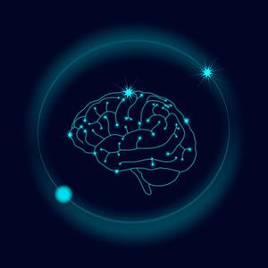 Brain (Inst.)