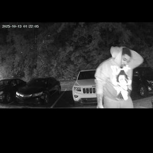 Wind Blows (Explicit)