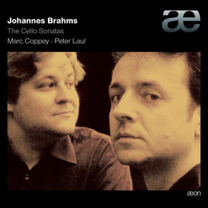 Sonata for Cello and Piano No.1 in E Minor, Op. 38 - I. Allergo ma non troppo