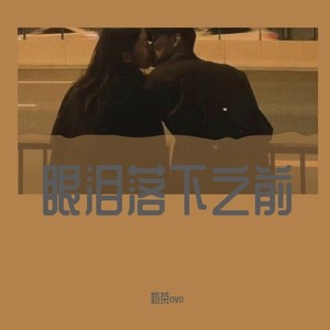 眼泪落下之前封面