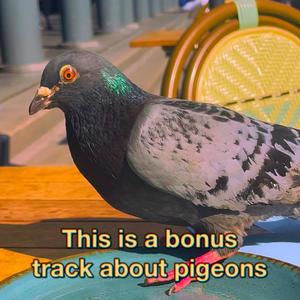 This is a bonus track about pigeons (Explicit)