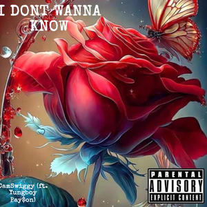 I Don't Wanna Know (feat. YungBoy Pay$on) [Explicit]