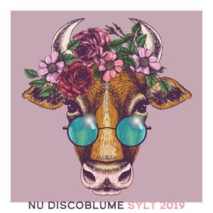 Nu Discoblume, Sylt 2019