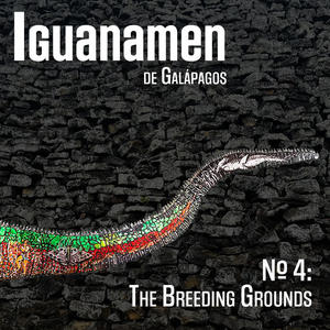 La Lluvia (feat. Lucas Napolitano, Javier Fernandez, Alejandro Merizalde & Estefany Pérez)