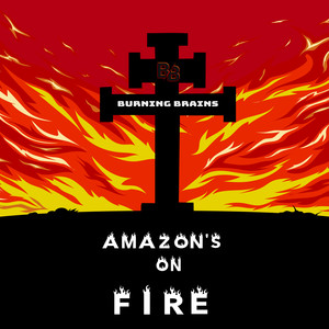 Amazon's on Fire