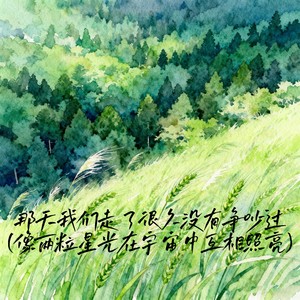 那天我们走了很久没有争吵过 (像两粒星光在宇宙中互相照亮)