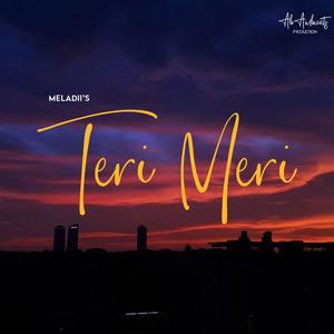 Teri Meri