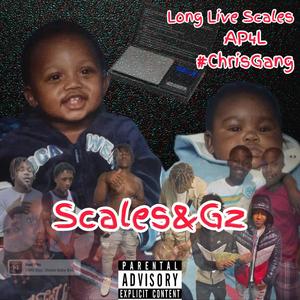 Scales&Gz (Explicit)