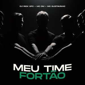 MEU TIME FORTÃO