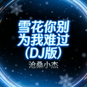 雪花你别为我难过-沧桑小杰