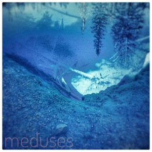 Meduses