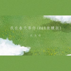 我在春天等你 (R&B微醺版) - 大头针 Official封面