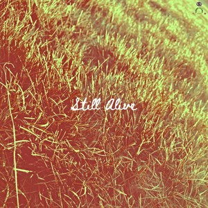 Still Alive (Explicit)