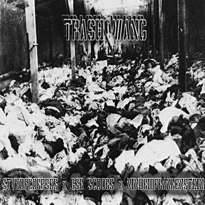 TRASH WANG (feat. NinoKidFrankenstein & GSR Scoobs) (Explicit)