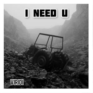 I Need U (feat. V-E Beats) (Explicit)
