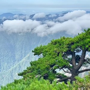 心情一直很美好